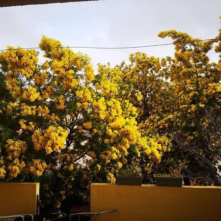 Appartement Proche Mer Avec Terrasse Et Jardin Privatif イエール エクステリア 写真