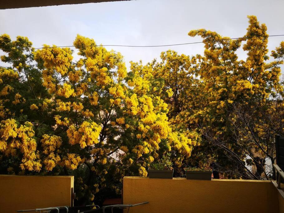 Appartement Proche Mer Avec Terrasse Et Jardin Privatif イエール エクステリア 写真