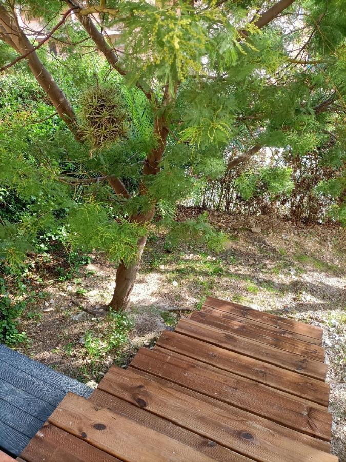Appartement Proche Mer Avec Terrasse Et Jardin Privatif イエール エクステリア 写真